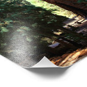 Nationaal park Sequoia Foto Afdruk (Hoek)