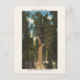 Nationaal park Sequoia Generaal Sherman Tree Briefkaart