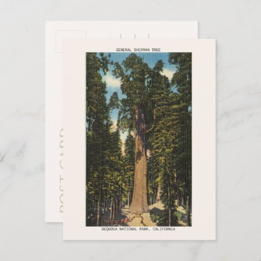 Nationaal park Sequoia Generaal Sherman Tree Briefkaart (Voorkant / Achterkant)