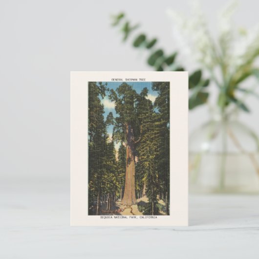 Nationaal park Sequoia Generaal Sherman Tree Briefkaart (Staand voorkant)