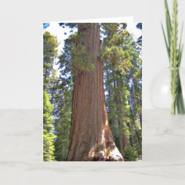 Nationaal park Sequoia Kaart