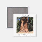 Nationaal park Sequoia Kings Canyon Magneet (Voorkant / Achterkant)