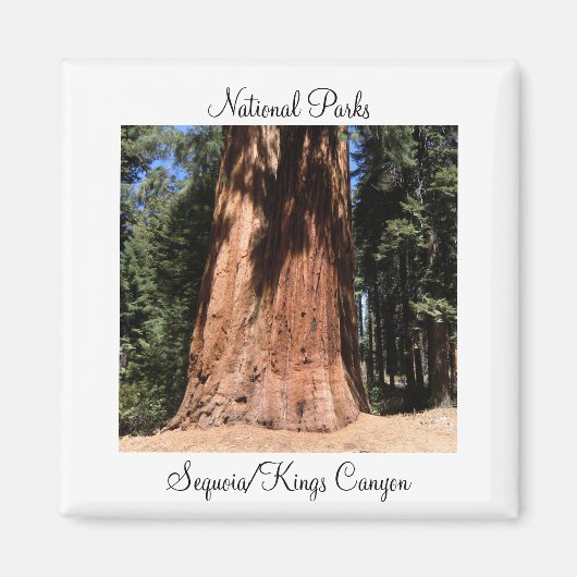 Nationaal park Sequoia Kings Canyon Magneet (Voorkant)