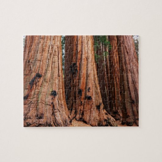 Nationaal park Sequoia Legpuzzel (Horizontaal)