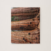 Nationaal park Sequoia Legpuzzel (Verticaal)