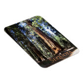 Nationaal park Sequoia Magneet (Rechterzijde)