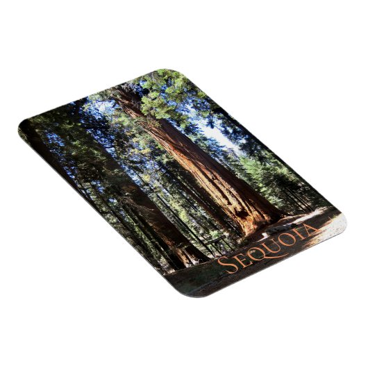 Nationaal park Sequoia Magneet (Rechterzijde)