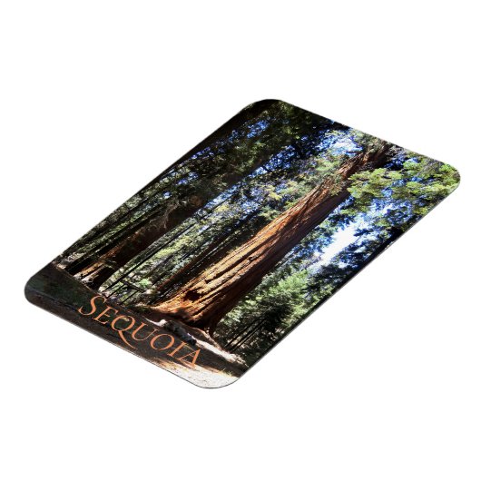 Nationaal park Sequoia Magneet (Linkerzijde)