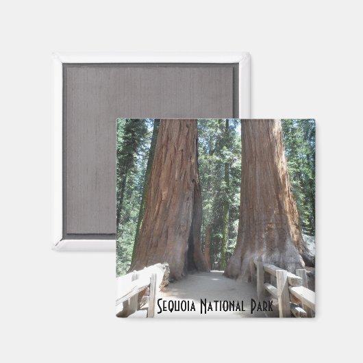 Nationaal park Sequoia Magneet (Voorkant / Achterkant)