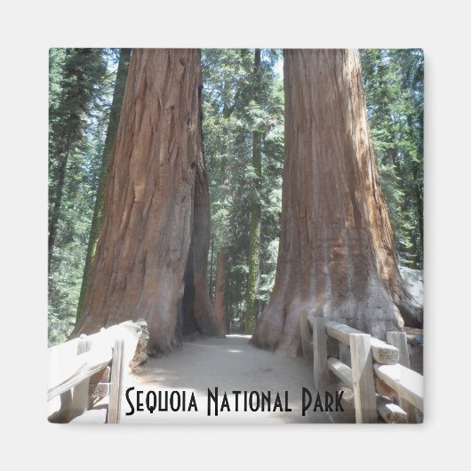 Nationaal park Sequoia Magneet (Voorkant)