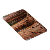 Nationaal park Sequoia Magneet (Rechterzijde)