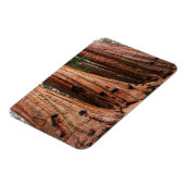 Nationaal park Sequoia Magneet (Linkerzijde)