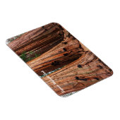 Nationaal park Sequoia Magneet (Rechterzijde)