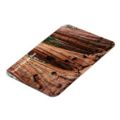 Nationaal park Sequoia Magneet (Linkerzijde)