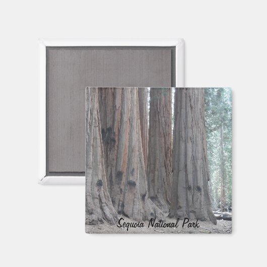 Nationaal park Sequoia Magneet (Voorkant / Achterkant)