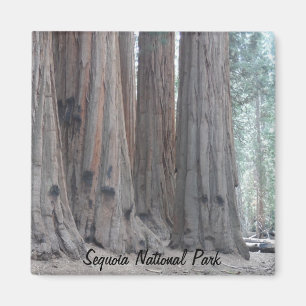 Nationaal park Sequoia Magneet