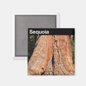 Nationaal park Sequoia Magneet (Voorkant / Achterkant)