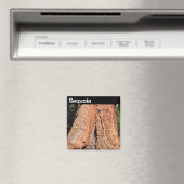 Nationaal park Sequoia Magneet (Insitu (Vaatwasser))