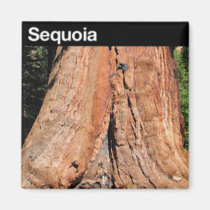 Nationaal park Sequoia Magneet