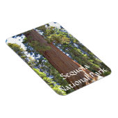 Nationaal park Sequoia Magneet (Rechterzijde)