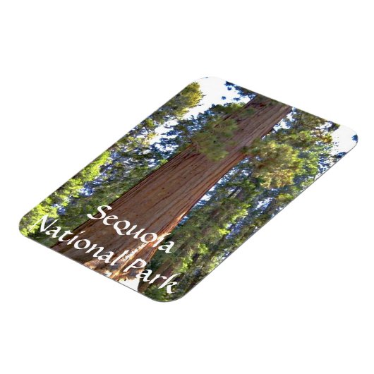 Nationaal park Sequoia Magneet (Linkerzijde)