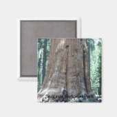 Nationaal park Sequoia Magneet (Voorkant / Achterkant)