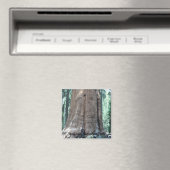 Nationaal park Sequoia Magneet (Insitu (Vaatwasser))