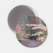 Nationaal park Sequoia Magneet (Voorkant / Achterkant)