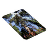 Nationaal park Sequoia Magneet (Rechterzijde)