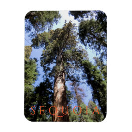 Nationaal park Sequoia Magneet