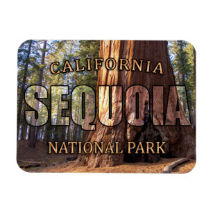 Nationaal park Sequoia Magnet Magneet