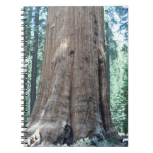 Nationaal park Sequoia Notitieboek