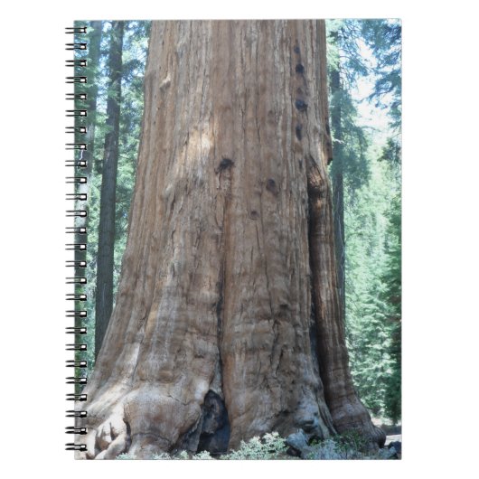 Nationaal park Sequoia Notitieboek (Voorkant)