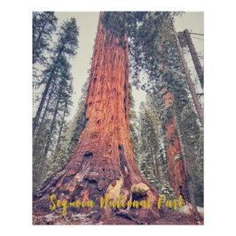 Nationaal park Sequoia Perfect Poster