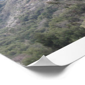 Nationaal park Sequoia Poster (Hoek)