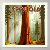 Nationaal park Sequoia Poster (Voorkant)