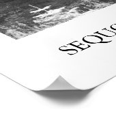 Nationaal park Sequoia Poster (Hoek)