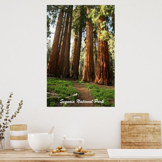 Nationaal park Sequoia Poster (Keuken)