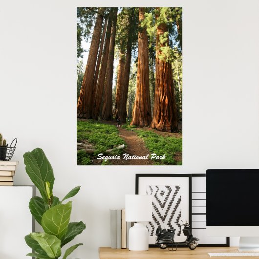 Nationaal park Sequoia Poster (Thuiskantoor)