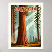 Nationaal park  Sequoia Poster (Voorkant)