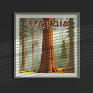 Nationaal park  Sequoia Poster