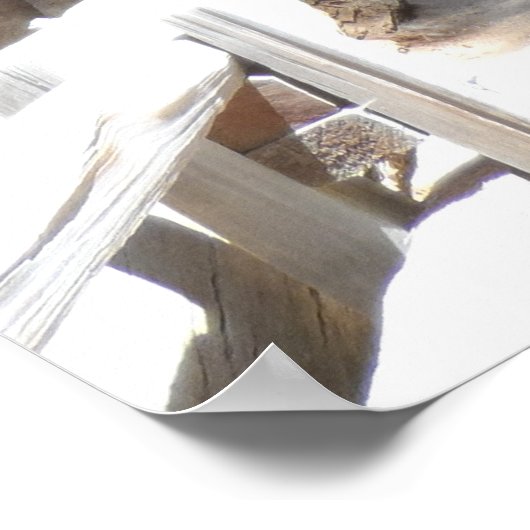 Nationaal park Sequoia Poster (Hoek)