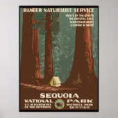 Nationaal park Sequoia Poster (Voorkant)