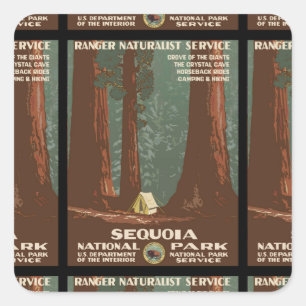 Nationaal park Sequoia Vierkante Sticker