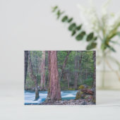 Nationaal Park Sequoias & Merced River Yosemite, C Briefkaart (Staand voorkant)