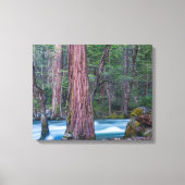 Nationaal Park Sequoias & Merced River Yosemite, C Canvas Afdruk (Voorkant)