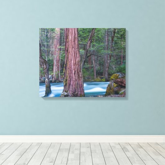 Nationaal Park Sequoias & Merced River Yosemite, C Canvas Afdruk (Insitu (Houten vloer))