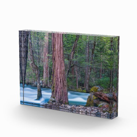 Nationaal Park Sequoias & Merced River Yosemite, C Fotoblokken (Rechts)