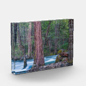 Nationaal Park Sequoias & Merced River Yosemite, C Fotoblokken (Links)
