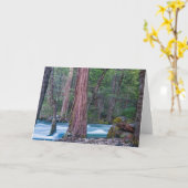 Nationaal Park Sequoias & Merced River Yosemite, C Kaart (Gele Bloem)